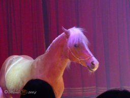 Circus Alex Kaisert am 1. Mai 2026